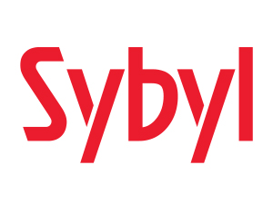 Sybyl Limited